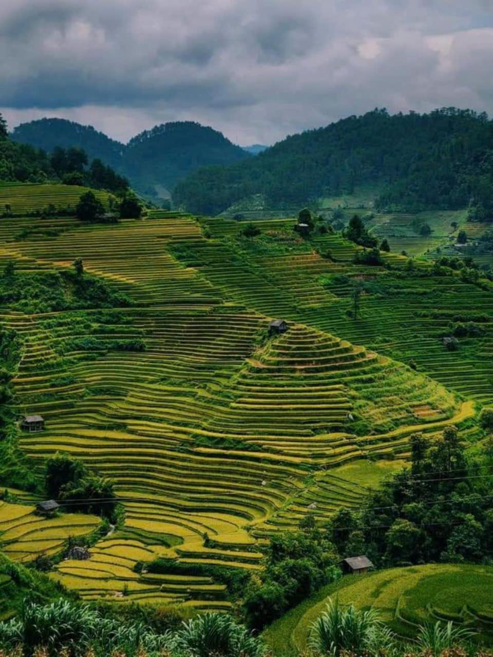 Mu Cang Chai Eco Home المظهر الخارجي الصورة