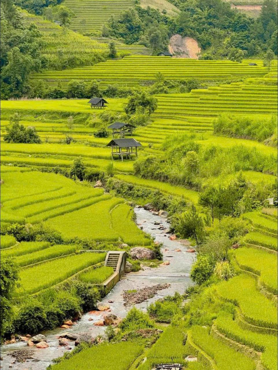 Mu Cang Chai Eco Home المظهر الخارجي الصورة