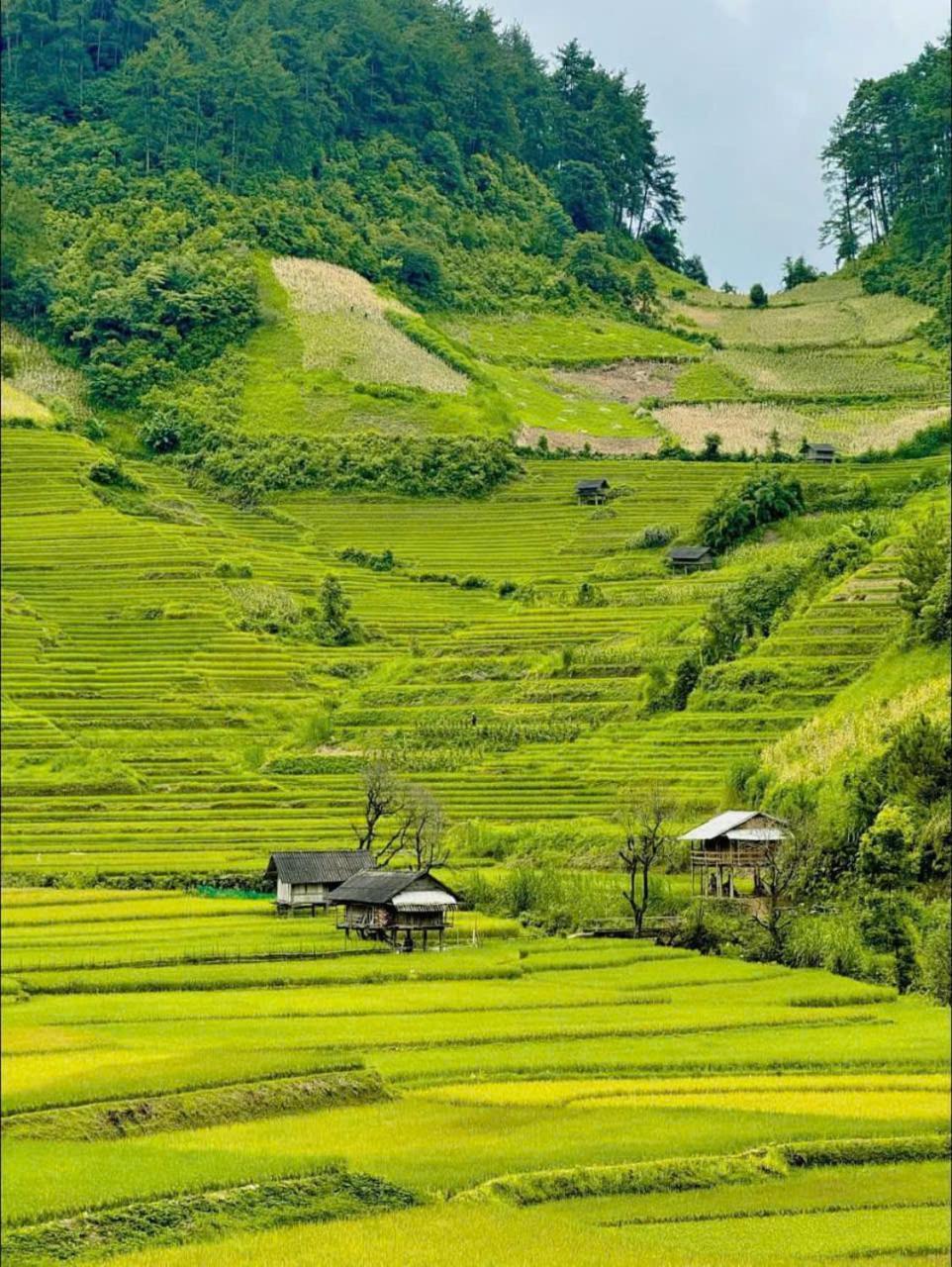 Mu Cang Chai Eco Home المظهر الخارجي الصورة